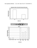 ISOLATED RENAL CELLS AND USES THEREOF diagram and image