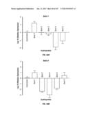 ISOLATED RENAL CELLS AND USES THEREOF diagram and image