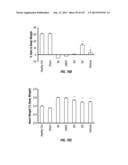 ISOLATED RENAL CELLS AND USES THEREOF diagram and image