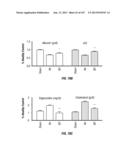 ISOLATED RENAL CELLS AND USES THEREOF diagram and image