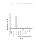 ISOLATED RENAL CELLS AND USES THEREOF diagram and image