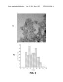 ABSORPTION METHOD FOR ENTRAPMENT OF DRUGS IN POLYMERIC NANOPARTICLES diagram and image