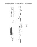 NANOFORMULATION OF VITAMIN D DERIVATIVES AND/OR VITAMIN D METABOLITES diagram and image