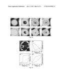 SOFT-TEMPLATE INFILTRATION MANUFACTURING OF NANOMATERIALS diagram and image