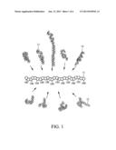 BRUSH POLYMER AND MEDICAL USE THEREOF diagram and image