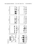 Translation Kinetic Mapping, Modification and Harmonization diagram and image