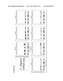 Translation Kinetic Mapping, Modification and Harmonization diagram and image