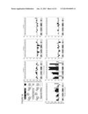 Translation Kinetic Mapping, Modification and Harmonization diagram and image