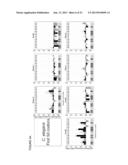 Translation Kinetic Mapping, Modification and Harmonization diagram and image