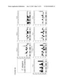 Translation Kinetic Mapping, Modification and Harmonization diagram and image