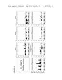 Translation Kinetic Mapping, Modification and Harmonization diagram and image