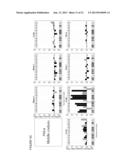 Translation Kinetic Mapping, Modification and Harmonization diagram and image