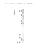 BARD1 Isoforms in Lung and Colorectal Cancer and Use Thereof diagram and image