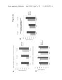 BARD1 Isoforms in Lung and Colorectal Cancer and Use Thereof diagram and image