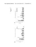 BARD1 Isoforms in Lung and Colorectal Cancer and Use Thereof diagram and image