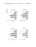 BARD1 Isoforms in Lung and Colorectal Cancer and Use Thereof diagram and image