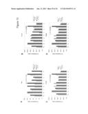 BARD1 Isoforms in Lung and Colorectal Cancer and Use Thereof diagram and image