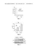 Methods for Inhibiting Amyloid Precursor Protein and Beta-Amyloid     Production and Accumulation diagram and image