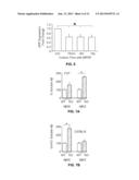 Methods for Inhibiting Amyloid Precursor Protein and Beta-Amyloid     Production and Accumulation diagram and image