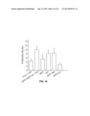 Methods for Inhibiting Amyloid Precursor Protein and Beta-Amyloid     Production and Accumulation diagram and image