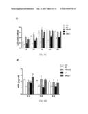 Method and Applications of Peptide-Mediated Mitochondrial Delivery System diagram and image