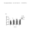 Method and Applications of Peptide-Mediated Mitochondrial Delivery System diagram and image