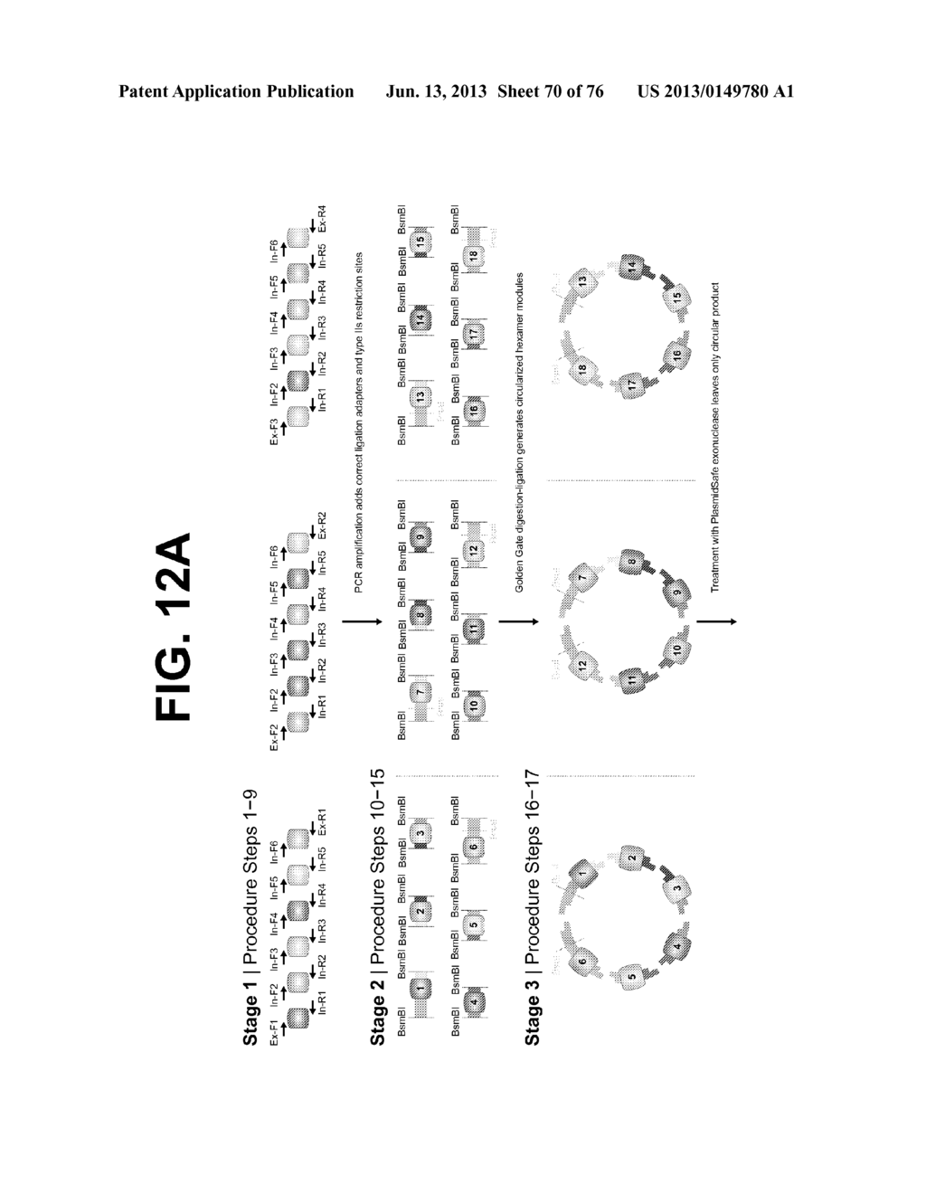 Nucleotide-Specific Recognition Sequences For Designer TAL Effectors - diagram, schematic, and image 71