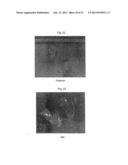 Multilayer Laminated Articles Including Poly(ureaurethane) Layers and     Methods of Making the Same diagram and image