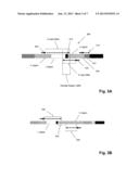 DETECTION AND MEASUREMENT OF TISSUE-INFILTRATING LYMPHOCYTES diagram and image