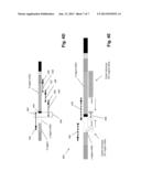 DETECTION AND MEASUREMENT OF TISSUE-INFILTRATING LYMPHOCYTES diagram and image