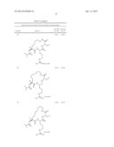 CYCLIZED PEPTIDOMIMETIC SMALL MOLECULE INHIBITORS OF THE WDR5 AND MLL1     INTERACTION diagram and image