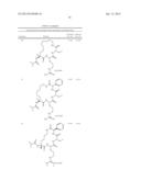 CYCLIZED PEPTIDOMIMETIC SMALL MOLECULE INHIBITORS OF THE WDR5 AND MLL1     INTERACTION diagram and image