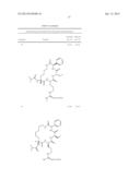 CYCLIZED PEPTIDOMIMETIC SMALL MOLECULE INHIBITORS OF THE WDR5 AND MLL1     INTERACTION diagram and image