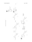 CYCLIZED PEPTIDOMIMETIC SMALL MOLECULE INHIBITORS OF THE WDR5 AND MLL1     INTERACTION diagram and image
