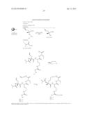 CYCLIZED PEPTIDOMIMETIC SMALL MOLECULE INHIBITORS OF THE WDR5 AND MLL1     INTERACTION diagram and image