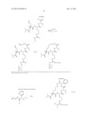 CYCLIZED PEPTIDOMIMETIC SMALL MOLECULE INHIBITORS OF THE WDR5 AND MLL1     INTERACTION diagram and image