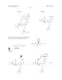 CYCLIZED PEPTIDOMIMETIC SMALL MOLECULE INHIBITORS OF THE WDR5 AND MLL1     INTERACTION diagram and image