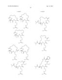 CYCLIZED PEPTIDOMIMETIC SMALL MOLECULE INHIBITORS OF THE WDR5 AND MLL1     INTERACTION diagram and image