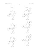 CYCLIZED PEPTIDOMIMETIC SMALL MOLECULE INHIBITORS OF THE WDR5 AND MLL1     INTERACTION diagram and image