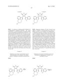 Compositions and Methods for Treatment of Cancer diagram and image