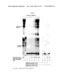 TRIOXACARCINS AND USES THEREOF diagram and image