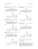 FURO[3, 2-B] PYRR0L-3-ONES AS CATHESPIN S INHIBITORS diagram and image