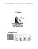 METHOD FOR TREATMENT OF BRAIN CANCERS diagram and image