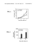 P27KIP1 AS A MOLECULAR MARKER FOR SUITABILITY AND EFFICACY OF TREATMENT     WITH HSP27 INHIBITORS diagram and image