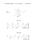 Antibiotic-Bound Poly(Caprolactone) Polymer diagram and image