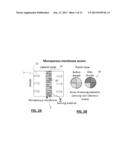 METABOLIC ANALYZER diagram and image