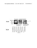 METABOLIC ANALYZER diagram and image