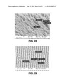 METHOD FOR INCREASING THE PERMEABILITY OF AN EPITHELIAL BARRIER diagram and image