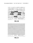 METHOD FOR INCREASING THE PERMEABILITY OF AN EPITHELIAL BARRIER diagram and image