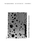 BIODEGRADABLE POLYURETHANE/UREA COMPOSITIONS diagram and image